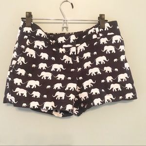 Loft Navy Blue & White  Elephant Shorts Size 0